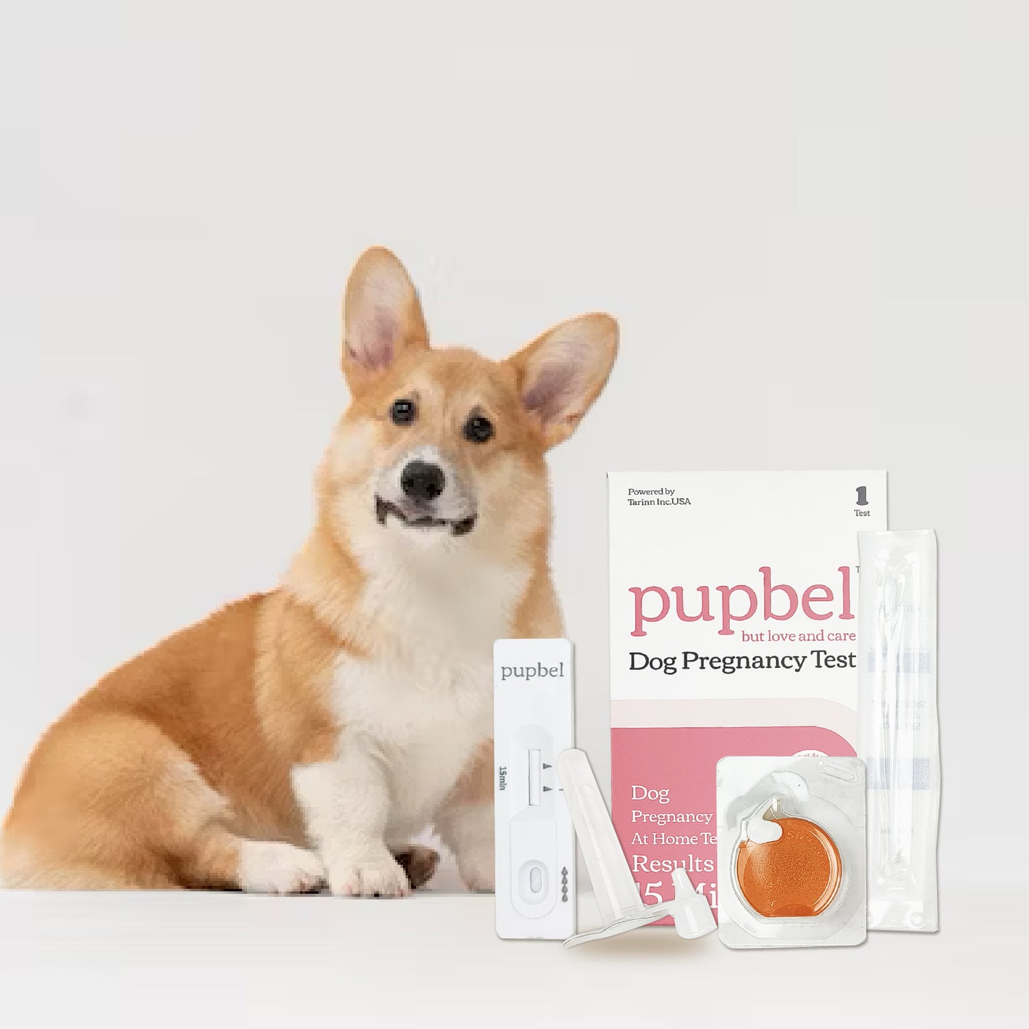 pupbel™ Dog Pregnancy Test